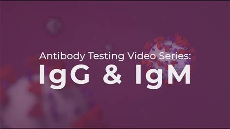 igg meaning tagalog|RAPID TESTING, IgG and IgM explained (TAGALOG) .